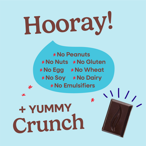 Hooray sheet explaining all of the allergens that Pascha Chocolate is free from. No Peanuts, no nuts, no gluten, no egg, no wheat, no soy, no dairy, no emulsifiers. Plus yummy crunchy