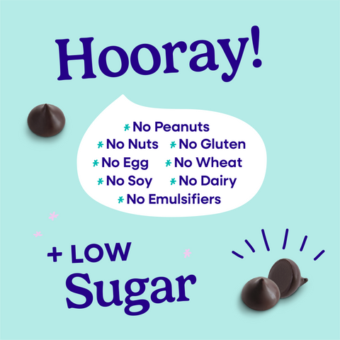 Hooray sheet explaining all of the allergens that Pascha Chocolate is free from. No Peanuts, no nuts, no gluten, no egg, no wheat, no soy, no dairy, no emulsifiers. Plus low sugar