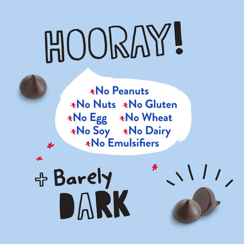 55% Cacao Organic Vegan Semi-Sweet Dark Chocolate Chips (8.8 oz) (SINGLE BAG)
