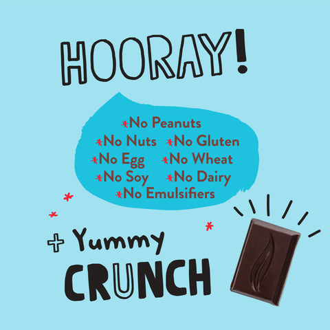 55% Cacao Organic Vegan Dark Chocolate Bar with Cocoa Nibs (2.8 oz) (SINGLE BAR)