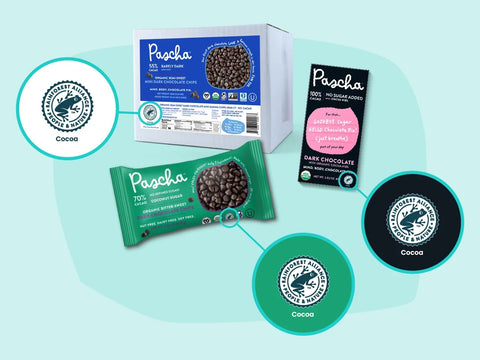 Top 5 Ways Pascha Helps Regenerate the Amazon Rainforest