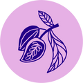 Illustration of Cacao Beans