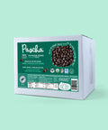 70% Chocolate Chip Bulk Box on a teal background 