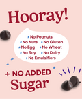 Hooray sheet explaining all of the allergens that Pascha Chocolate is free from. No Peanuts, no nuts, no gluten, no egg, no wheat, no soy, no dairy, no emulsifiers. Plus no added sugar