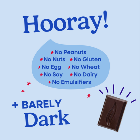 Hooray sheet explaining all of the allergens that Pascha Chocolate is free from. No Peanuts, no nuts, no gluten, no egg, no wheat, no soy, no dairy, no emulsifiers. Plus barely dark