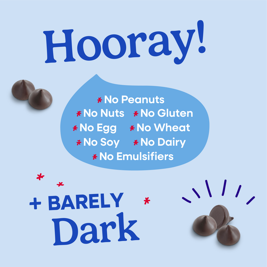 Bulk Mini Chips (10 lbs) - 55% Cacao Organic Vegan Semi-Sweet Dark Chocolate Chips (4000 ct)