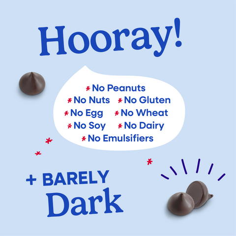Hooray sheet explaining all of the allergens that Pascha Chocolate is free from. No Peanuts, no nuts, no gluten, no egg, no wheat, no soy, no dairy, no emulsifiers. Plus barely dark 