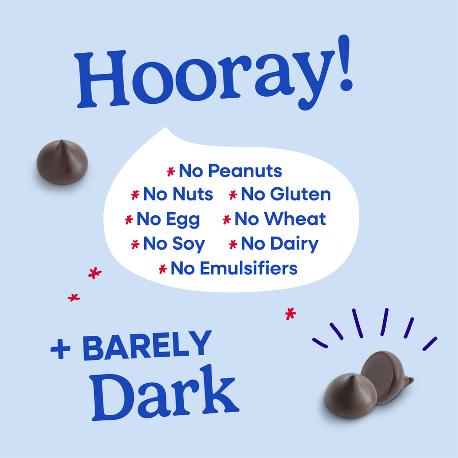 55% Cacao Organic Vegan Semi-Sweet Dark Chocolate Chips (8.8 oz)