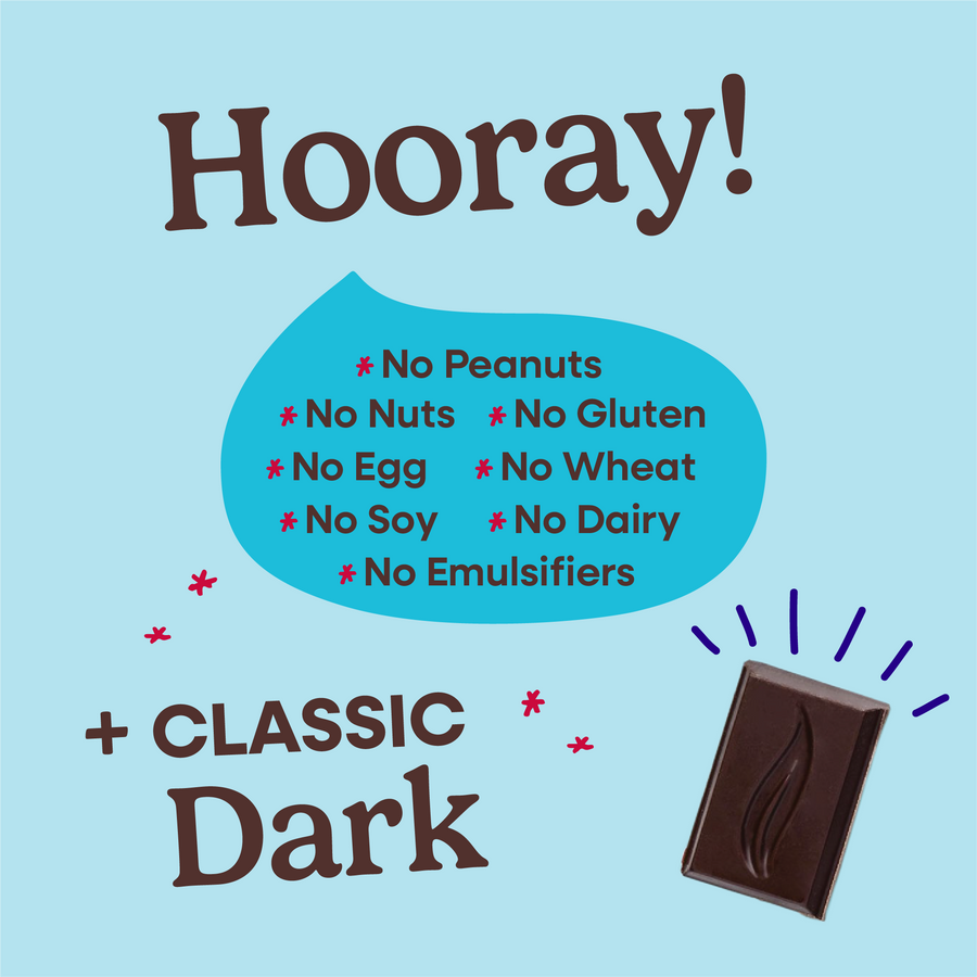 70% Cacao Organic Vegan Dark Chocolate Bar (2.8 oz)