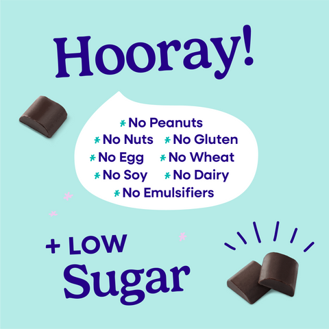 Hooray sheet explaining all of the allergens that Pascha Chocolate is free from. No Peanuts, no nuts, no gluten, no egg, no wheat, no soy, no dairy, no emulsifiers. Plus low sugar