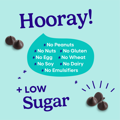 Hooray sheet explaining all of the allergens that Pascha Chocolate is free from. No Peanuts, no nuts, no gluten, no egg, no wheat, no soy, no dairy, no emulsifiers. Plus low sugar