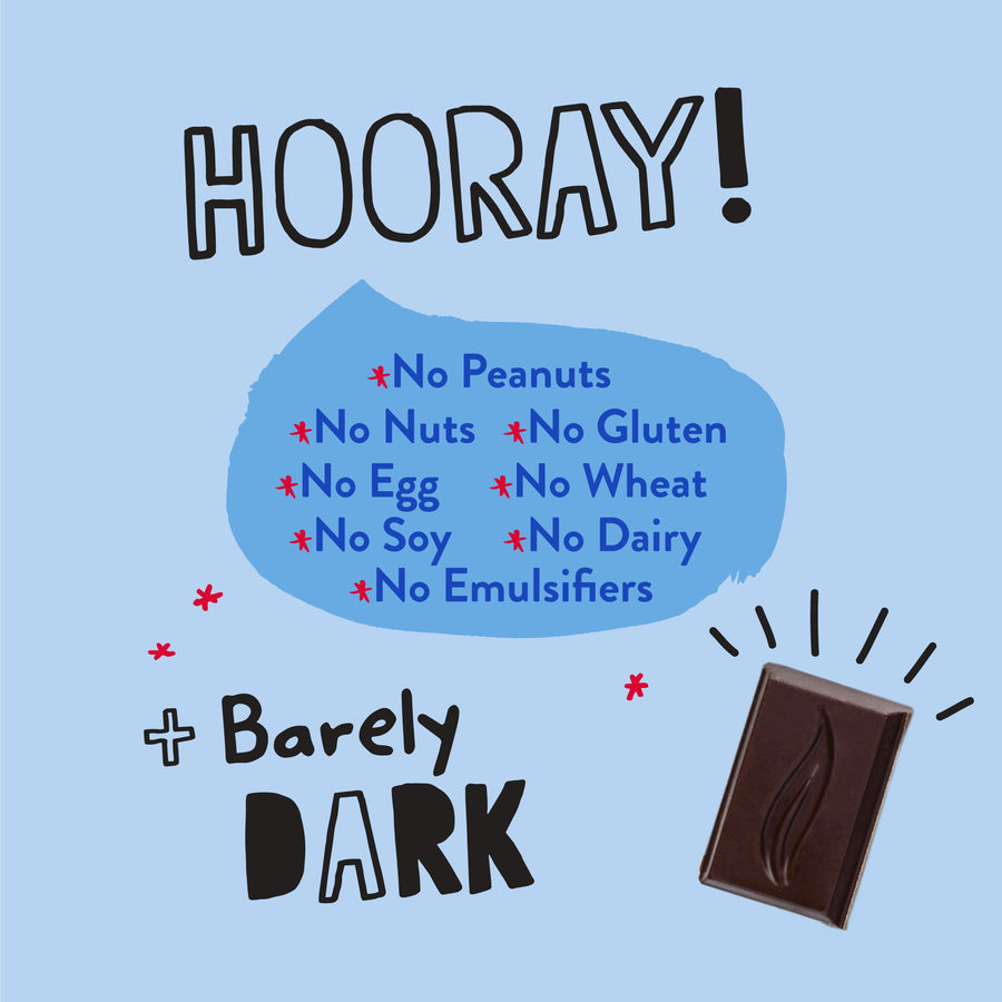 55% Cacao Organic Vegan Dark Chocolate Bar (2.8 oz)